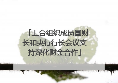 上合组织成员国财长和央行行长会议支持深化财金合作