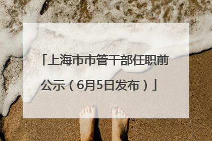 上海市市管干部任职前公示（6月5日发布）
