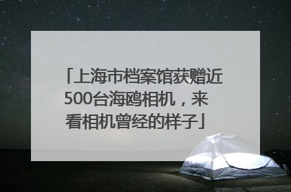 上海市档案馆获赠近500台海鸥相机，来看相机曾经的样子