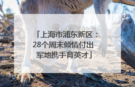 上海市浦东新区：28个周末倾情付出 军地携手育英才
