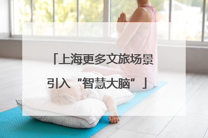上海更多文旅场景引入“智慧大脑”