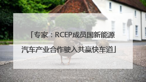 专家：RCEP成员国新能源汽车产业合作驶入共赢快车道