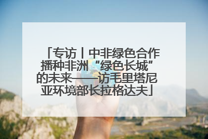 专访丨中非绿色合作播种非洲“绿色长城”的未来——访毛里塔尼亚环境部长拉格达夫