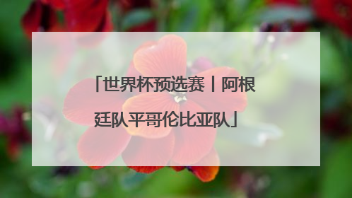 世界杯预选赛丨阿根廷队平哥伦比亚队