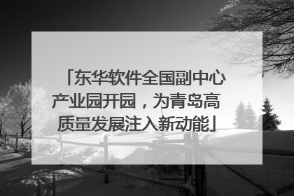 东华软件全国副中心产业园开园，为青岛高质量发展注入新动能
