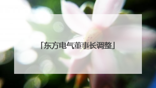东方电气董事长调整