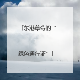 东港草莓的“绿色通行证”