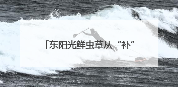 东阳光鲜虫草从“补”到“养”，冬虫夏草在现代养生中的新打开方式