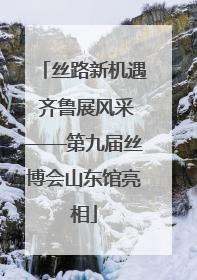 丝路新机遇 齐鲁展风采——第九届丝博会山东馆亮相