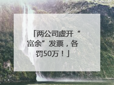 两公司虚开“富余”发票，各罚50万！