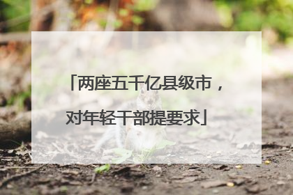 两座五千亿县级市，对年轻干部提要求
