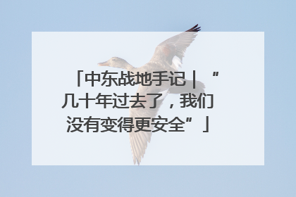 中东战地手记｜“几十年过去了，我们没有变得更安全”