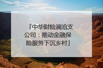 中华财险澜沧支公司：推动金融保险服务下沉乡村