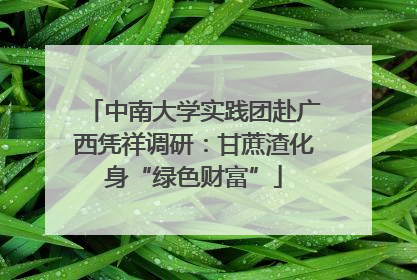 中南大学实践团赴广西凭祥调研：甘蔗渣化身“绿色财富”