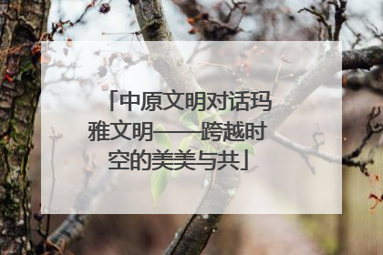 中原文明对话玛雅文明——跨越时空的美美与共