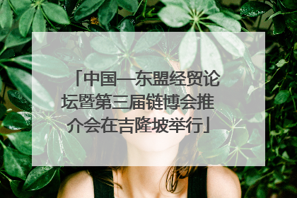 中国—东盟经贸论坛暨第三届链博会推介会在吉隆坡举行