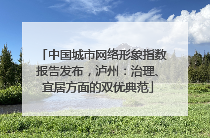 中国城市网络形象指数报告发布，泸州：治理、宜居方面的双优典范