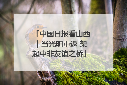 中国日报看山西｜当光明重返 架起中非友谊之桥