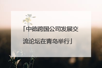 中德跨国公司发展交流论坛在青岛举行