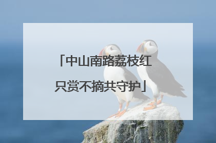 中山南路荔枝红 只赏不摘共守护