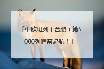 中欧班列（合肥）第5000列鸣笛起航！