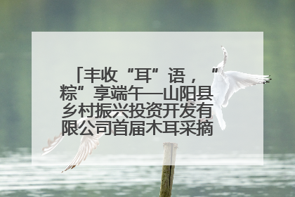丰收“耳”语，“粽”享端午—山阳县乡村振兴投资开发有限公司首届木耳采摘活动盛大启幕