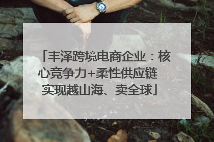 丰泽跨境电商企业：核心竞争力+柔性供应链 实现越山海、卖全球