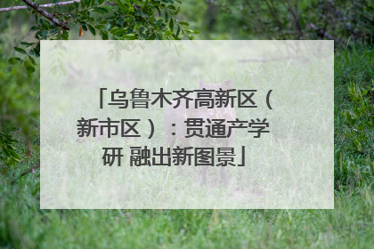 乌鲁木齐高新区（新市区）：贯通产学研 融出新图景
