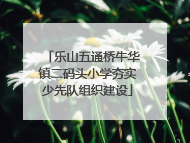 乐山五通桥牛华镇二码头小学夯实少先队组织建设