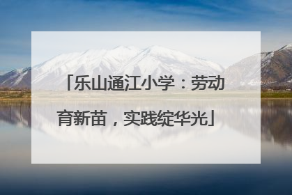 乐山通江小学：劳动育新苗，实践绽华光