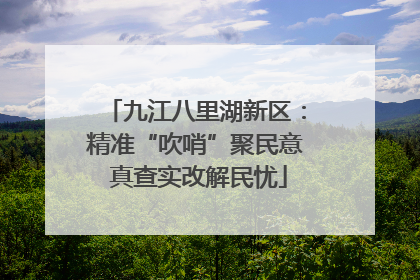 九江八里湖新区：精准“吹哨”聚民意 真查实改解民忧