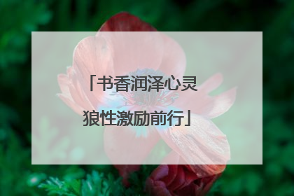 书香润泽心灵 狼性激励前行