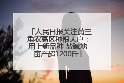 人民日报关注黄三角农高区种粮大户：用上新品种 盐碱地亩产超1200斤