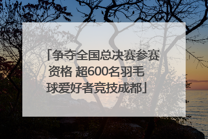 争夺全国总决赛参赛资格 超600名羽毛球爱好者竞技成都