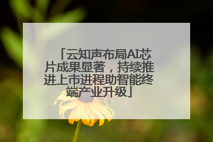 云知声布局AI芯片成果显著，持续推进上市进程助智能终端产业升级