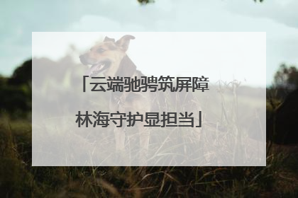 云端驰骋筑屏障 林海守护显担当