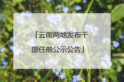 云南两地发布干部任前公示公告