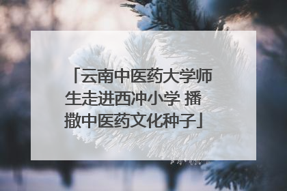 云南中医药大学师生走进西冲小学 播撒中医药文化种子