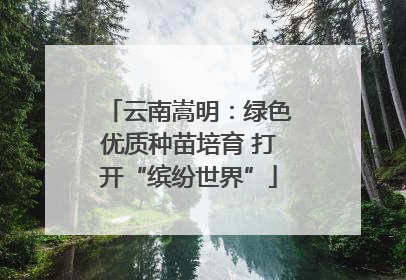 云南嵩明：绿色优质种苗培育 打开“缤纷世界”