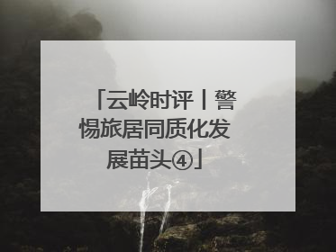云岭时评丨警惕旅居同质化发展苗头④