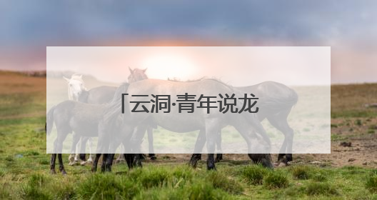 云洞·青年说龙华微宣讲活动开讲“向绿图强”