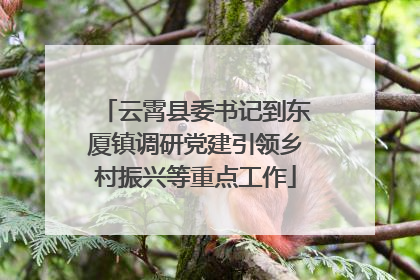 云霄县委书记到东厦镇调研党建引领乡村振兴等重点工作