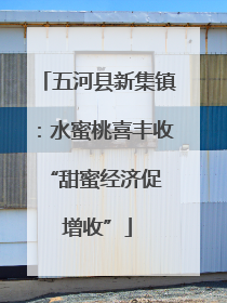 五河县新集镇：水蜜桃喜丰收 “甜蜜经济促增收”