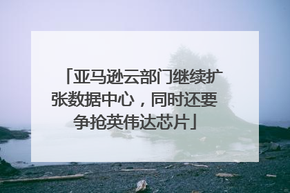 亚马逊云部门继续扩张数据中心，同时还要争抢英伟达芯片