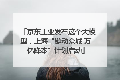 京东工业发布这个大模型，上海“链动众城 万亿降本”计划启动