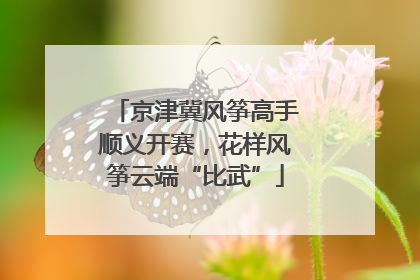 京津冀风筝高手顺义开赛，花样风筝云端“比武”