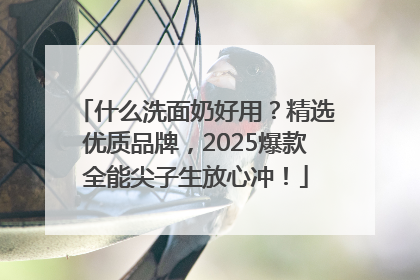 什么洗面奶好用？精选优质品牌，2025爆款全能尖子生放心冲！