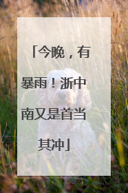 今晚，有暴雨！浙中南又是首当其冲
