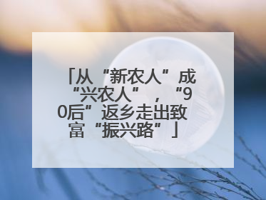 从“新农人”成“兴农人”，“90后”返乡走出致富“振兴路”