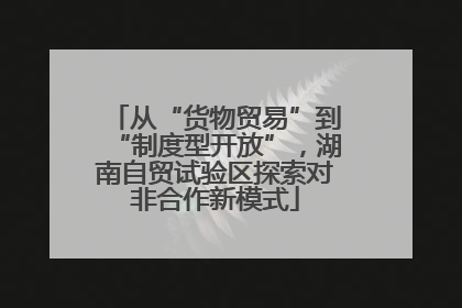 从“货物贸易”到“制度型开放”，湖南自贸试验区探索对非合作新模式